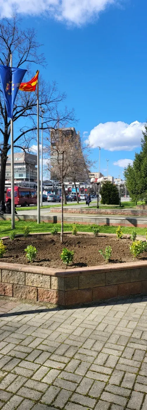 Реализирани проекти